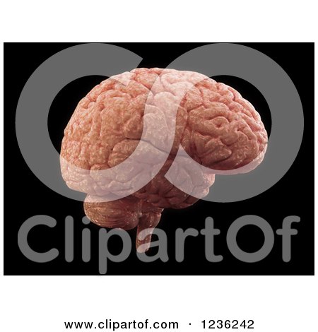 Clipart of a 3d Human Brain over Black - Royalty Free CGI Illustration by Mopic