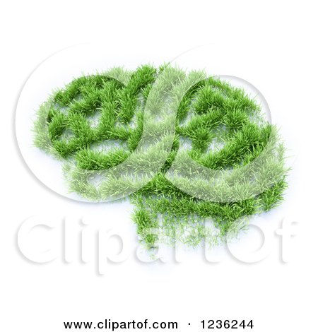 Clipart of a 3d Grassy Brain Patch on White - Royalty Free CGI Illustration by Mopic