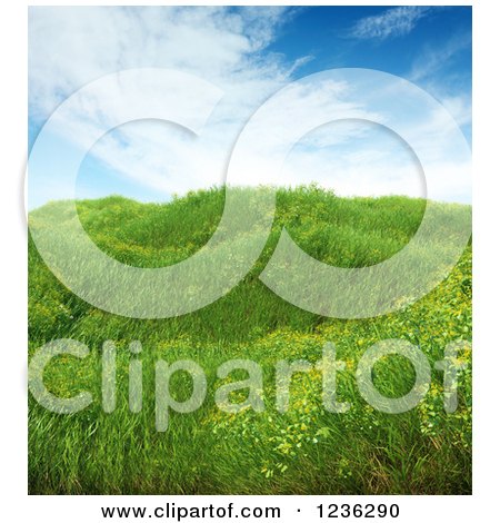 Clipart of a 3d Meadow with Grass and Wildflowers - Royalty Free CGI Illustration by Mopic