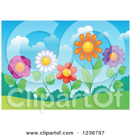 Clipart of Colorful Daisy Flowers on a Hill - Royalty Free Vector Illustration by visekart
