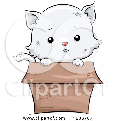Clipart of a Sad Cute White Kitten Peeking out from a Box - Royalty Free Vector Illustration by BNP Design Studio