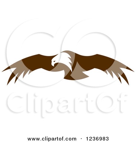 Clipart of a Flying Brown Bald Eagle 2 - Royalty Free Vector Illustration by Vector Tradition SM
