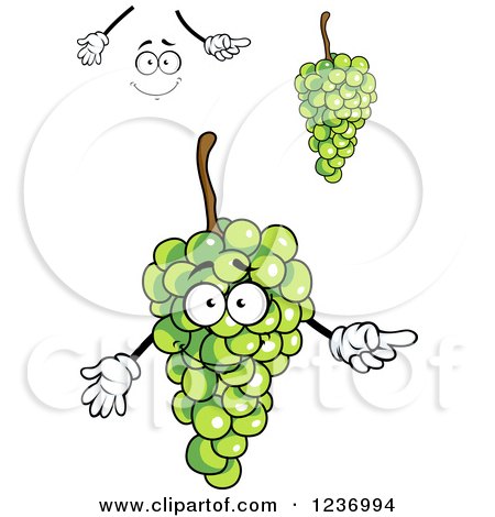 Clipart of a Happy Green Grapes Mascot - Royalty Free Vector Illustration by Vector Tradition SM