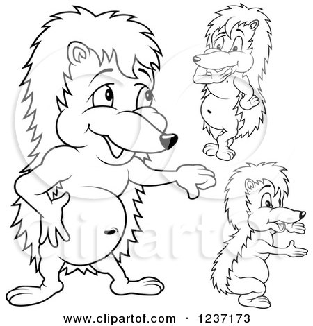 Clipart of Outlined Hedgehogs - Royalty Free Vector Illustration by dero