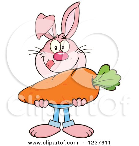 Clipart of a Pink Rabbit Holding a Giant Carrot - Royalty Free Vector Illustration by Hit Toon