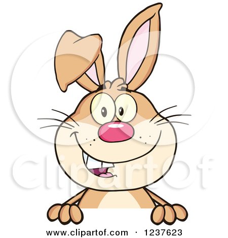 Clipart of a Happy Brown Rabbit over a Sign - Royalty Free Vector Illustration by Hit Toon