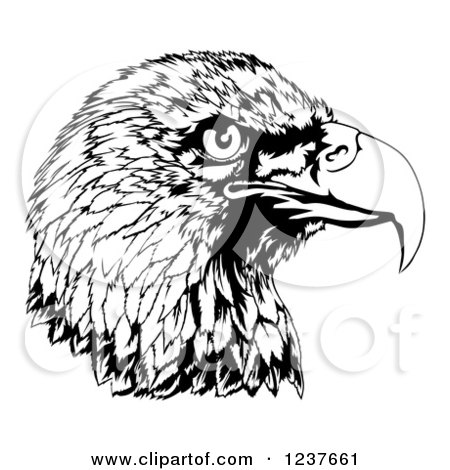 Clipart of a Black and White Bald Eagle Head in Profile - Royalty Free Vector Illustration by AtStockIllustration