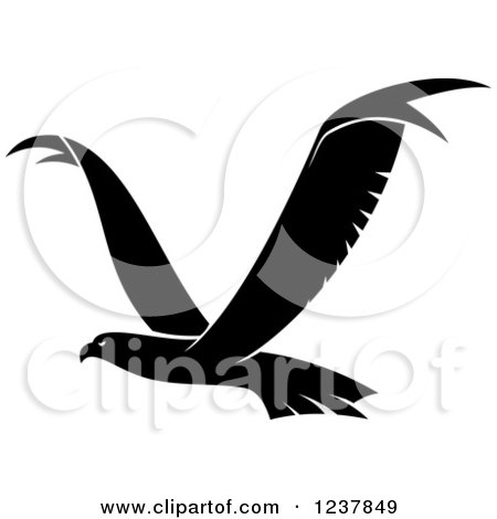 Clipart of a Black and White Eagle in Flight - Royalty Free Vector Illustration by Vector Tradition SM