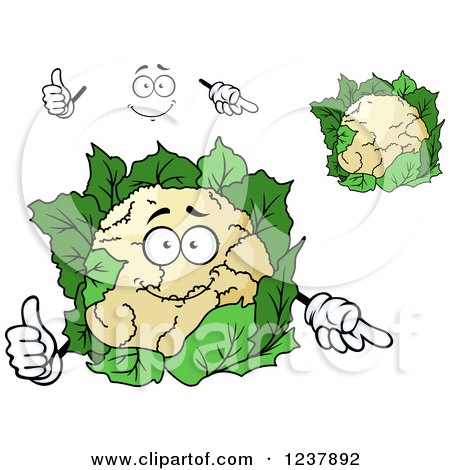 Clipart of a Happy Cauliflower - Royalty Free Vector Illustration by Vector Tradition SM