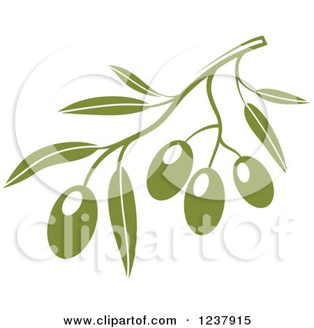 Clipart of a Green Branch with Olives 2 - Royalty Free Vector Illustration by Vector Tradition SM