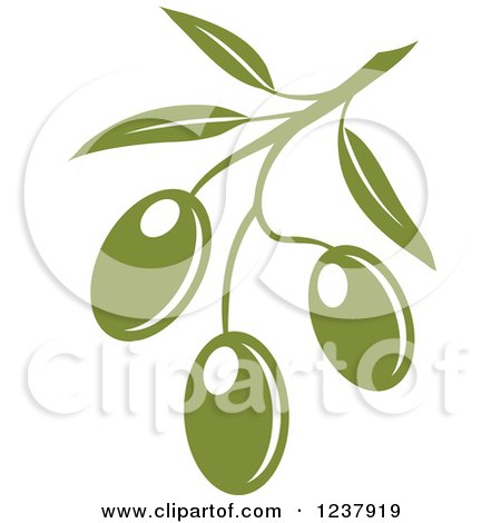 Clipart of a Green Branch with Olives - Royalty Free Vector Illustration by Vector Tradition SM