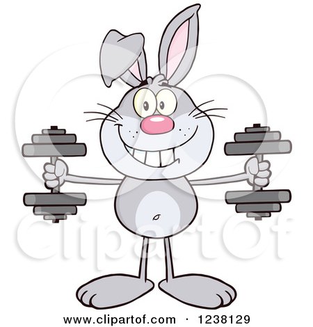 Clipart of a Gray Rabbit Working out with Dumbbells - Royalty Free Vector Illustration by Hit Toon