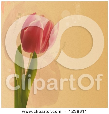 Clipart of a Tulip Flower over Textured Paper and Faint Flowers - Royalty Free Vector Illustration by elaineitalia