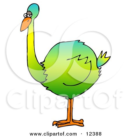 Big Colorful Green Flightless Bird Clipart Picture by djart
