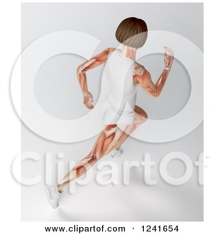 Clipart of a 3d Runner with Visible Muscle - Royalty Free Illustration by Mopic