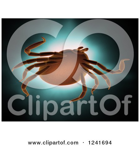 Clipart of a 3d Lyme Disease Deer Tick over Light - Royalty Free Illustration by Mopic