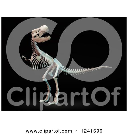 Clipart of a 3d Skeleton of a Tyrannosaurus Rex, on Black - Royalty Free Illustration by Mopic