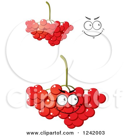 Clipart of Cranberries - Royalty Free Vector Illustration by Vector Tradition SM