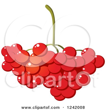 Clipart of a Bunch of Cranberries - Royalty Free Vector Illustration by Vector Tradition SM