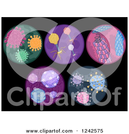 Clipart of Microscopic Views of Viruses on Blac - Royalty Free Vector Illustration by BNP Design Studio