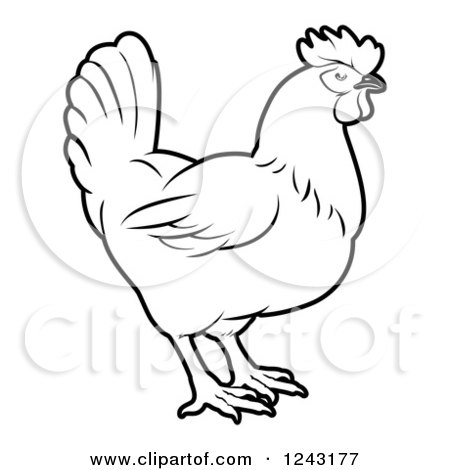 Clipart of a Black and White Chicken in Profile - Royalty Free Vector Illustration by AtStockIllustration