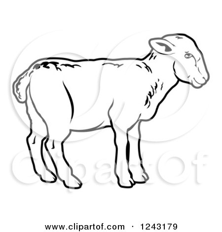 Clipart of a Black and White Lamb in Profile - Royalty Free Vector Illustration by AtStockIllustration