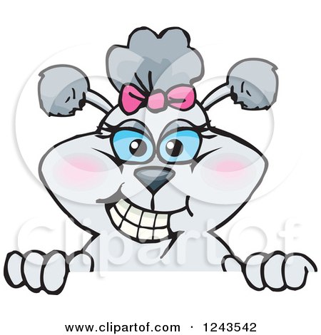 Clipart of a Female Gray Poodle Dog Smiling over a Sign - Royalty Free Vector Illustration by Dennis Holmes Designs