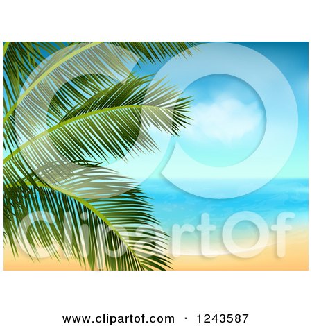 Clipart of a Tropical Beach with White Sand and a Palm Tree Branch - Royalty Free Vector Illustration by elaineitalia