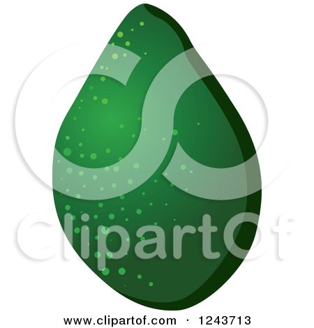 Clipart of a Green Avocado - Royalty Free Vector Illustration by Vector Tradition SM