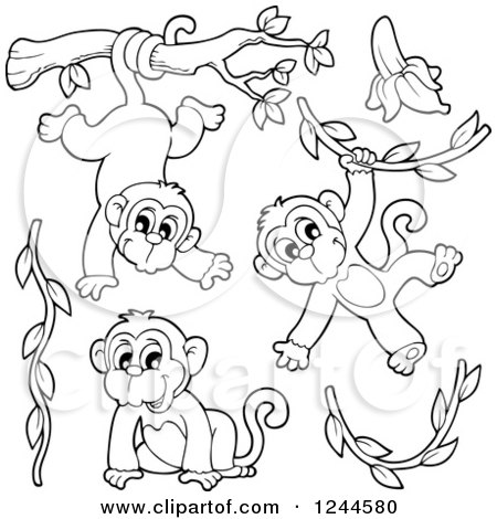 Clipart of Black and White Playful Monkeys and Vines - Royalty Free Vector Illustration by visekart
