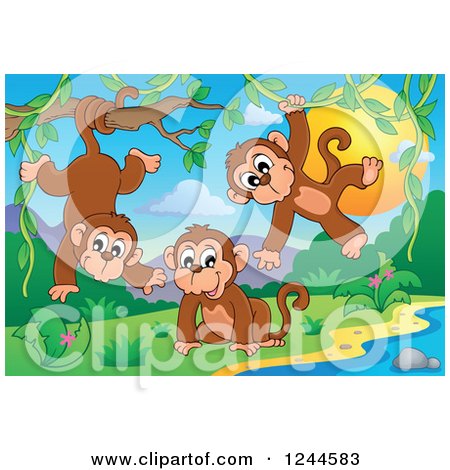 Clipart of Playful Monkeys at Sunset - Royalty Free Vector Illustration by visekart