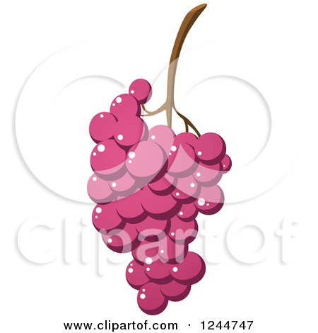 Clipart of a Bunch of Purple Grapes - Royalty Free Vector Illustration by Vector Tradition SM