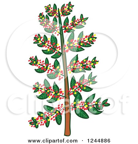 Clipart of a Coffee Tree - Royalty Free Vector Illustration by Zooco