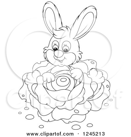 Clipart of a Black and White Happy Bunny Rabbit Sitting with Cabbage in a Garden - Royalty Free Vector Illustration by Alex Bannykh