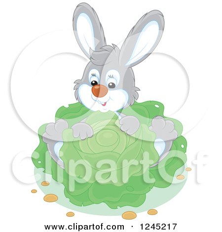 Clipart of a Happy Gray Rabbit Sitting with Cabbage in a Garden - Royalty Free Vector Illustration by Alex Bannykh