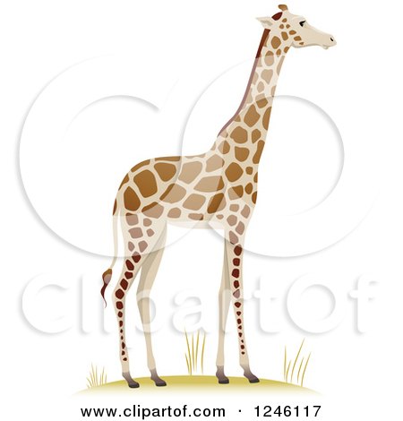 Clipart of a Tall Giraffe - Royalty Free Vector Illustration by BNP Design Studio