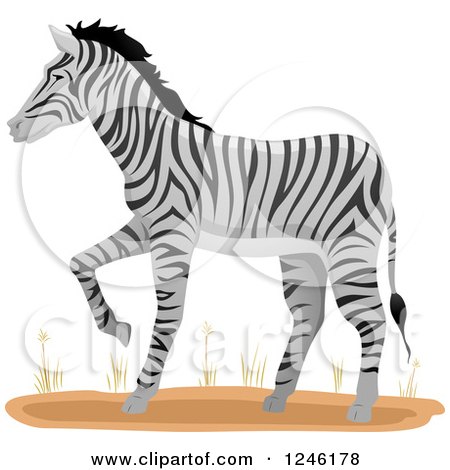 Clipart of a Zebra Walking - Royalty Free Vector Illustration by BNP Design Studio