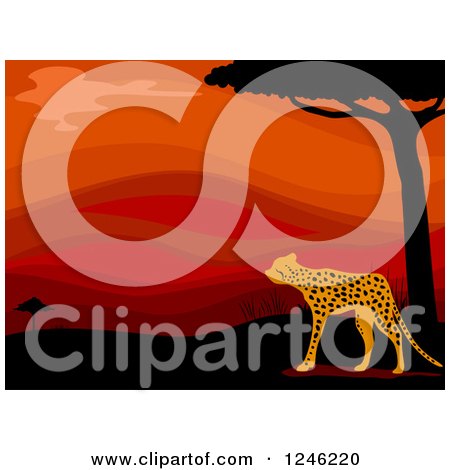Clipart of an African Cheetah and Red Sunset - Royalty Free Vector Illustration by BNP Design Studio