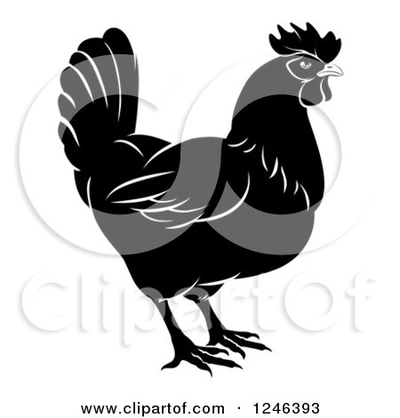 Clipart of a Black and White Chicken in Profile - Royalty Free Vector Illustration by AtStockIllustration