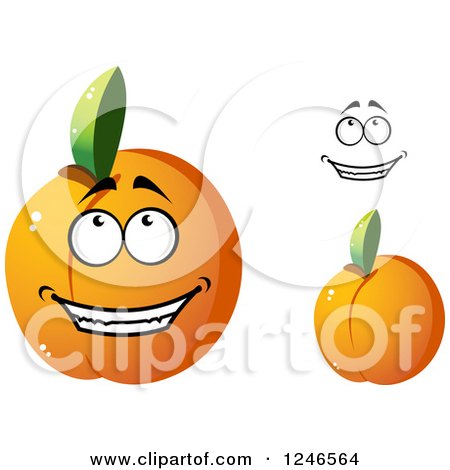 Clipart of Apricots - Royalty Free Vector Illustration by Vector Tradition SM