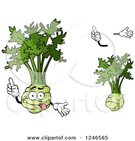 Clipart of Kohlrabi - Royalty Free Vector Illustration by Vector Tradition SM