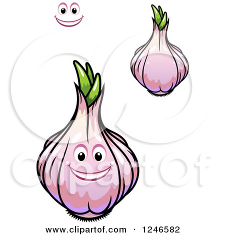Clipart of Garlic - Royalty Free Vector Illustration by Vector Tradition SM