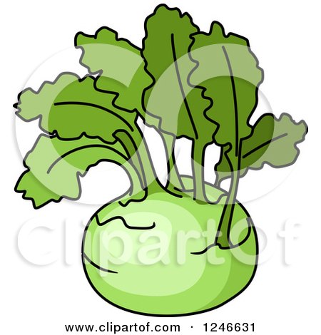 Clipart of a Kohlrabi - Royalty Free Vector Illustration by Vector Tradition SM