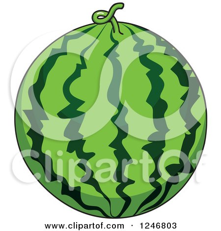 Clipart of a Watermelon - Royalty Free Vector Illustration by Vector Tradition SM