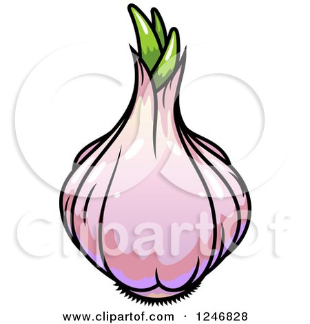 Clipart of a Purple Garlic - Royalty Free Vector Illustration by Vector Tradition SM