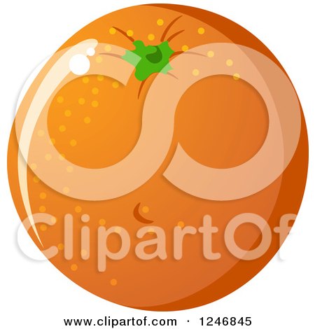 Clipart of an Orange - Royalty Free Vector Illustration by Vector Tradition SM
