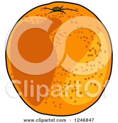 Clipart of an Orange - Royalty Free Vector Illustration by Vector Tradition SM