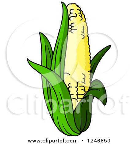 Clipart of a Corn - Royalty Free Vector Illustration by Vector Tradition SM
