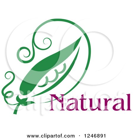 Clipart of Natural Text with a Pea Pod - Royalty Free Vector Illustration by Vector Tradition SM