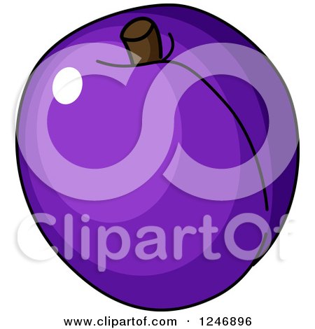 Clipart of a Plum - Royalty Free Vector Illustration by Vector Tradition SM